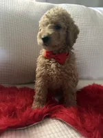 processed/88444d2c-7276-4abe-92eb-da1a5cd40159/listing/00a3aab4-5651-412a-8fd5-513fc5f13f01/d7dae27e-4056-4255-bc5d-dfd67546fbcc