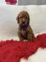 processed/88444d2c-7276-4abe-92eb-da1a5cd40159/listing/16a5e3ae-b898-4df0-8abb-7f1e97f34556/16958fdf-a91e-40db-b6fc-8db3a942a0c6