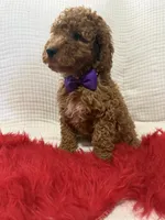 processed/88444d2c-7276-4abe-92eb-da1a5cd40159/listing/16a5e3ae-b898-4df0-8abb-7f1e97f34556/42af0298-1e25-4ee1-8528-738b0e16e21e