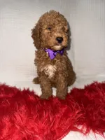 processed/88444d2c-7276-4abe-92eb-da1a5cd40159/listing/16a5e3ae-b898-4df0-8abb-7f1e97f34556/45f35a09-8165-4c28-94b0-9454de4f2052