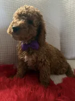 processed/88444d2c-7276-4abe-92eb-da1a5cd40159/listing/16a5e3ae-b898-4df0-8abb-7f1e97f34556/821df23e-0b13-49b1-82be-523a1d8ccd14