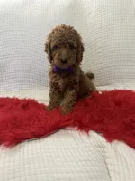 processed/88444d2c-7276-4abe-92eb-da1a5cd40159/listing/16a5e3ae-b898-4df0-8abb-7f1e97f34556/90cf14dd-e24e-4eaa-857b-c760b425ae5f