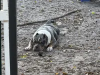 processed/88444d2c-7276-4abe-92eb-da1a5cd40159/listing/5eaac094-c6ef-439a-8ca4-d4476e978f51/3cd5ca41-6914-488c-aeb3-09db5d858aaf