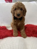 processed/88444d2c-7276-4abe-92eb-da1a5cd40159/listing/ef6f0293-df8f-4dbd-863a-7822d1593ce9/4922c0a5-5b32-40a7-b121-637ee7db6974