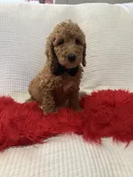 processed/88444d2c-7276-4abe-92eb-da1a5cd40159/listing/ef6f0293-df8f-4dbd-863a-7822d1593ce9/6742af64-d695-4813-ba30-ea18bf79d6fa