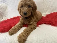 processed/88444d2c-7276-4abe-92eb-da1a5cd40159/listing/ef6f0293-df8f-4dbd-863a-7822d1593ce9/ac4bc57c-3805-4339-b987-9695e1440d30