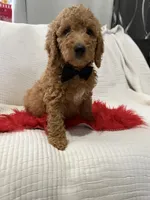 processed/88444d2c-7276-4abe-92eb-da1a5cd40159/listing/ef6f0293-df8f-4dbd-863a-7822d1593ce9/ac6583e2-8ec3-476f-a943-3c281c45d810