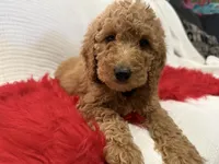 processed/88444d2c-7276-4abe-92eb-da1a5cd40159/listing/ef6f0293-df8f-4dbd-863a-7822d1593ce9/d3407f24-20d0-4abf-a7f2-8c7a820f253d