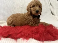 processed/88444d2c-7276-4abe-92eb-da1a5cd40159/listing/ef6f0293-df8f-4dbd-863a-7822d1593ce9/eb7750f8-fecd-4e40-8810-c585bfacaa90