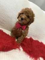 processed/88444d2c-7276-4abe-92eb-da1a5cd40159/listing/f3f54ccd-4f82-4532-9f77-a043c62405aa/052470c7-0226-42c1-8516-28fd97c568fe