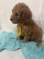 processed/88444d2c-7276-4abe-92eb-da1a5cd40159/listing/f3f54ccd-4f82-4532-9f77-a043c62405aa/20ba9b96-4332-4433-8781-9c9ab48eb8e4