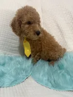 processed/88444d2c-7276-4abe-92eb-da1a5cd40159/listing/f3f54ccd-4f82-4532-9f77-a043c62405aa/eb6b48fd-4161-490f-8a6c-73ec294c734f