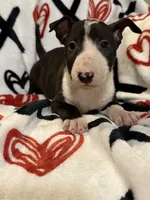 processed/884580e8-45e3-4cde-91da-dcf68a7b2335/listing/531be1e1-afc1-4dfb-bc56-eee3a4958270/57fa571e-4c43-44ab-9cfa-bc0d3b6cc21e