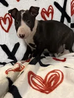 processed/884580e8-45e3-4cde-91da-dcf68a7b2335/listing/531be1e1-afc1-4dfb-bc56-eee3a4958270/d0181c37-d1e6-456f-a4e8-cb27f7593144