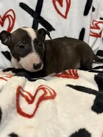 processed/884580e8-45e3-4cde-91da-dcf68a7b2335/listing/9538af13-de86-4665-8ba0-54f27d0deed5/3d2dbd49-c4a2-4cd9-a10e-a1f1eaa108dd