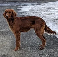 processed/88482a32-9e53-444e-bca1-63e5ac1350de/listing/5100e8e6-a85e-4409-b94a-4183ccdab94b/e1450812-58e1-4c07-89bc-75dd46b1e00d