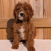 processed/88482a32-9e53-444e-bca1-63e5ac1350de/listing/a4fe7cde-9f80-4c5a-9413-93615c1dd82d/fe5c9799-b48e-43ee-8e45-c4805cddaf79