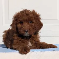 processed/88482a32-9e53-444e-bca1-63e5ac1350de/listing/e02b952a-8c31-438a-a206-f2d574b32ef3/7a921d46-148b-4aa9-8b5e-d0129db3b15e