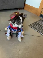 processed/884b6a97-b0ac-41ac-a786-133710b7e9f6/facility/3ff483ac-c8f4-42b4-875a-831a408da143