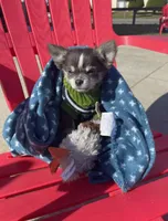 processed/884b6a97-b0ac-41ac-a786-133710b7e9f6/facility/6974defd-755e-409d-9c7d-ea5ab945394f