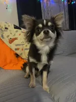 processed/884b6a97-b0ac-41ac-a786-133710b7e9f6/facility/76f3fcea-4c65-427c-a5c0-8c11428ad7ea