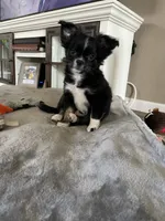 processed/884b6a97-b0ac-41ac-a786-133710b7e9f6/facility/846303ef-2654-40b9-b6c4-e9dcfb72a56e