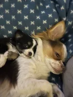 processed/884b6a97-b0ac-41ac-a786-133710b7e9f6/facility/98786d4c-0b09-4a86-8c7f-dd09a92803c9