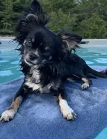 processed/884b6a97-b0ac-41ac-a786-133710b7e9f6/facility/b6ad9bdd-1fbe-47b4-a35d-91b917ad58c7