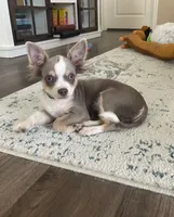 processed/884b6a97-b0ac-41ac-a786-133710b7e9f6/facility/cc7d133c-8e1c-41bb-ab98-f0b3ee0494a3