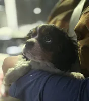 processed/884e3fc2-688f-4e33-8043-bdb873c74e0a/listing/060b379a-9795-4571-82e8-849ec6b24f2e/9551b239-91d1-4b0d-88dc-7abfc80bdc7e