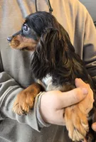 processed/884e3fc2-688f-4e33-8043-bdb873c74e0a/listing/eb3bac49-1ca4-45a1-9068-cce7fe67641a/72ea5e7f-877d-4c4e-a3c7-3a7b171cfb60