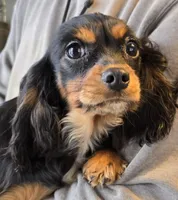 processed/884e3fc2-688f-4e33-8043-bdb873c74e0a/listing/eb3bac49-1ca4-45a1-9068-cce7fe67641a/82449e87-ea1d-4a8e-ba6e-074d7893af50