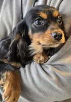 processed/884e3fc2-688f-4e33-8043-bdb873c74e0a/listing/eb3bac49-1ca4-45a1-9068-cce7fe67641a/ec77d98d-05cf-435a-82b5-821d56f83178