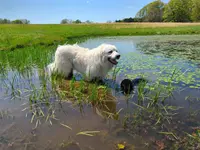 processed/88582e28-4ff6-407a-9e6e-2bb7246cdb46/facility/250345f8-26a6-4866-a008-b6f69f68e42f