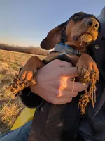 processed/88582e28-4ff6-407a-9e6e-2bb7246cdb46/facility/26df4760-509f-44a2-8f2b-6ac4e3477c16