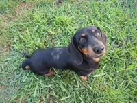 processed/88582e28-4ff6-407a-9e6e-2bb7246cdb46/facility/79304860-fb0a-45ef-bb17-f460ce3282e5