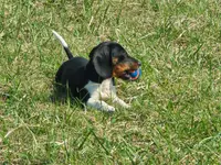 processed/88582e28-4ff6-407a-9e6e-2bb7246cdb46/facility/87ec553d-7212-4d04-aa42-2deb4784e8ec