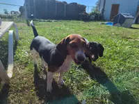 processed/88582e28-4ff6-407a-9e6e-2bb7246cdb46/facility/a7886103-06b2-4966-be66-0f94c41363e0