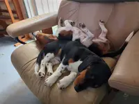 processed/88582e28-4ff6-407a-9e6e-2bb7246cdb46/facility/c3c3094a-0018-4b31-82f6-42aad7ca23ce