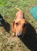 processed/88582e28-4ff6-407a-9e6e-2bb7246cdb46/facility/ca2fcc3b-9c27-46b4-8ecd-9f5793c56671