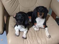 processed/88582e28-4ff6-407a-9e6e-2bb7246cdb46/facility/cddfc599-9191-4a6e-9e90-f3c3781390f8