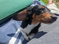 processed/88582e28-4ff6-407a-9e6e-2bb7246cdb46/facility/e33c69dc-cfbb-4860-bd44-d3782670e252