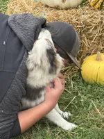 processed/885b410e-87da-4080-8602-2cb941497cc5/listing/5e6f69f9-cfab-445a-abe0-e46732207126/08139981-8c81-4260-86e6-f31d7c14b7e5