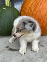 processed/885b410e-87da-4080-8602-2cb941497cc5/listing/5e6f69f9-cfab-445a-abe0-e46732207126/169fd782-ac50-4423-b089-fa0e807f9fcd