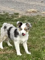 processed/885b410e-87da-4080-8602-2cb941497cc5/listing/5e6f69f9-cfab-445a-abe0-e46732207126/46fd8f07-4db9-4607-80b0-ab63cf95b02d