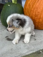 processed/885b410e-87da-4080-8602-2cb941497cc5/listing/5e6f69f9-cfab-445a-abe0-e46732207126/519b7877-38cb-43bf-a7fa-6f8119ce9b50