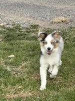 processed/885b410e-87da-4080-8602-2cb941497cc5/listing/5e6f69f9-cfab-445a-abe0-e46732207126/57f8f171-5e70-45f9-b9b5-a25d3894bb6b