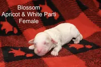 processed/885bd1a8-f8bc-4dc2-983e-8845bc5a3027/listing/497f24d6-3802-437a-807f-8176e746f22e/d619b75a-dcfa-40cf-b6ee-3fb6f5e00c2a