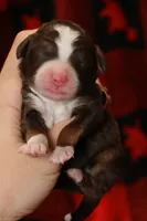 processed/885bd1a8-f8bc-4dc2-983e-8845bc5a3027/listing/6a95d416-6f7b-413e-833a-7322b8e2ea3c/38c8fa2e-ccc5-4a0e-9f16-2f8402ccc951