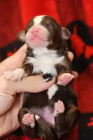 processed/885bd1a8-f8bc-4dc2-983e-8845bc5a3027/listing/6a95d416-6f7b-413e-833a-7322b8e2ea3c/7e9c32c3-bd47-4f9f-95de-69215f21b804